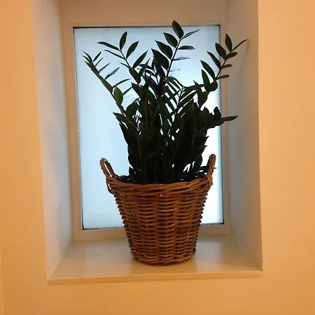 Belle Arti
