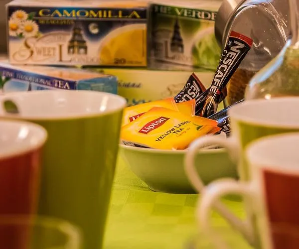 Belle Arti 베르가모